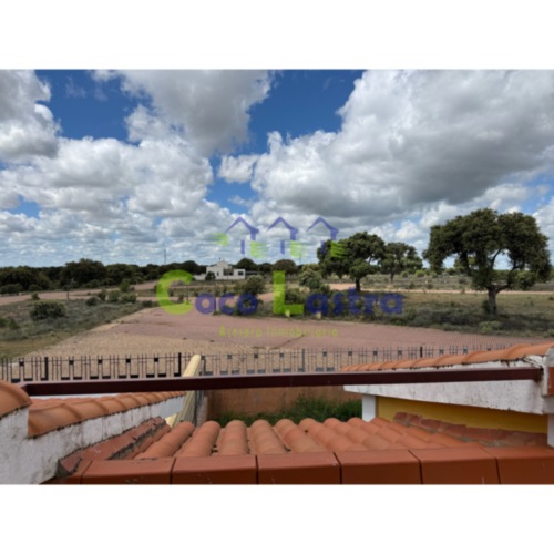Vistas